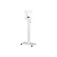 Flat Panel Cart for Smart Kapp 42 Inch Capture