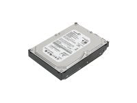 1 Tb - Internal - 3.5 X 1/3H - Serial ATA-300-7200 RPM - 32 Mb - 8.2 Ms