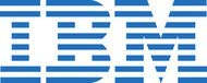 IBM ServeRAID M5200 Series 1GB Flash/RAID 5 Upgrade for IBM Systems