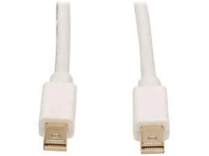 10ft Mini to Mini Displayport Cbl10