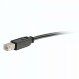 Cables to Go USB B to 2 USB a Male Y-Cable