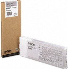 Epson Light Black Ink Cartridge - Inkjet - Light Black (Catalog Category: SUP...