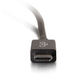 C2G 54325 DisplayPort Male to HD Male Adapter Cable, Black (54325)