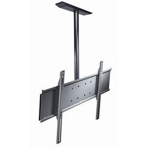 Univ Ceiling Mount with Plate