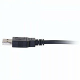 Cables to Go 28105 USB A Male to A Male Cable (1 Meter, Black)