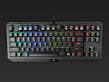 Razer BlackWidow Tournament Edition Chroma, Clicky RGB Mechanical Gaming Keyboard, Compact Layout - Razer Green Switches