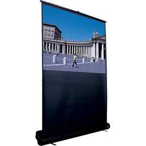 Draper Screen 80"