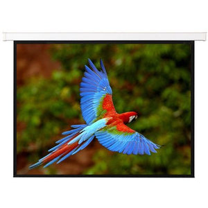 White Manual Projection Screen Viewing Area: 71" Diagonal (50" x 50")