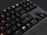 Razer BlackWidow Tournament Edition Chroma, Clicky RGB Mechanical Gaming Keyboard, Compact Layout - Razer Green Switches