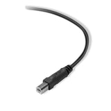 Belkin F3U154BT4.8M Premium Printer Cable - USB Cable - 15.7 Ft - 4 Pin USB Type B (M) to 4 Pin USB Type A (M) - Black