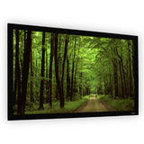 Elunevision 92" 16:9 Elara Fixed-Frame Projector Screen (EV-F-92-1.2)