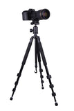 Dolica GX650B204 Proline GX Series 65 Inch Aluminum Tripod and Ball Head Combo for DSLR, SLR (Black)