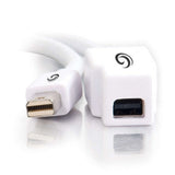 Display Port Cable - Mini Displayport - Male - Mini Displayport - Female - 2 M