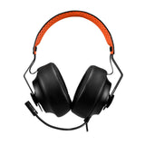 PHONTUM Gaming Headset with Detachable Microphone and Swappable Earpads PC/Mac/Linux