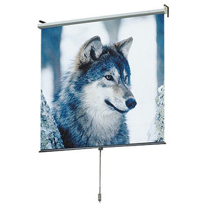 Draper 207002 Draper Screen 60"X60" Roll