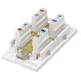 Intellinet Cat6 RJ45 Junction Box - White