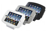 Maclocks Space Enclosure Kiosk with 45-Degree Mount for ipad-Mini, Silver (101S235SMENS)