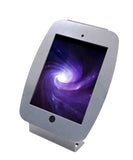 Maclocks Space Enclosure Kiosk with 45-Degree Mount for ipad-Mini, Silver (101S235SMENS)