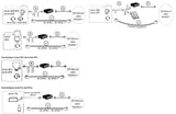 Snom Technology 2362 Wireless Headset Adapter F 870