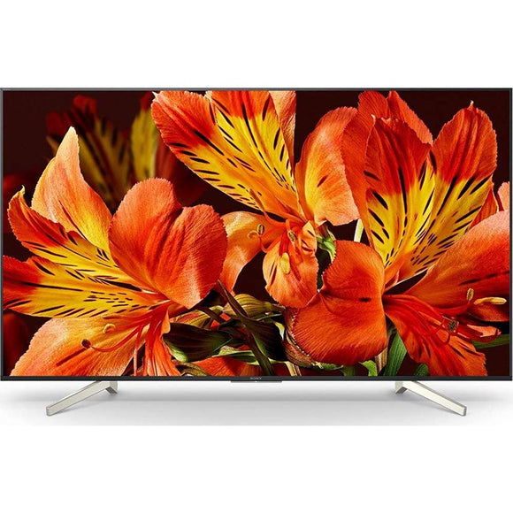 Sony 55 Bravia 4K HDR Professional Display