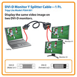 Tripp Lite Dvi Splitter Cable, Digital Monitor Y (Dvi-D M to 2x F) 1-Feet(P564-001)