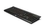 HP K2500 Wireless Keyboard US (E5E77AA#ABA)