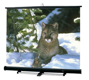 10ft Diag Luma 2/R Portable Screen Mattwhite 4x3