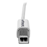 StarTech.com 2m White USB 2.0 A to B Cable - USB 2.0 AB Cable Male / Male - USB B Cable - 1x USB 'A' (M), 1x USB 'B' (M) - White, 6ft (USBPAB2MW)