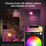 Philips Hue 1743530V7 Discover Floodlight, Black