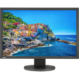 24IN WS LCD 1920X1200