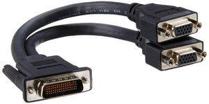 C2G 38065 One LFH-59 (DMS-59) Male to Two VGA (HD15) Female Cable, Black (9 Inches)