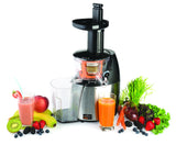 Salton JE1372PL Low Speed Juicer and Smoothie Maker, Stainless Steel/Black